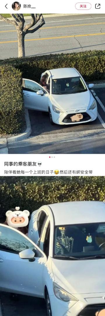 Word文档图片