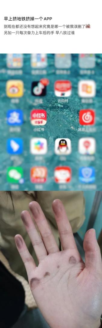 Word文档图片
