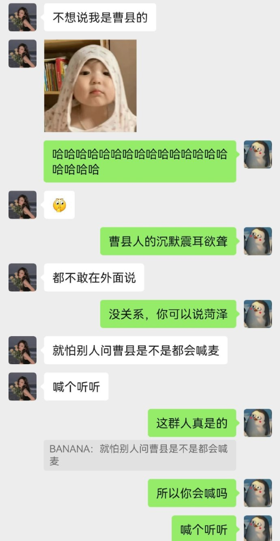 Word文档图片