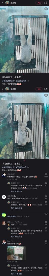 Word文档图片