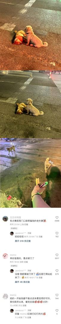 Word文档图片
