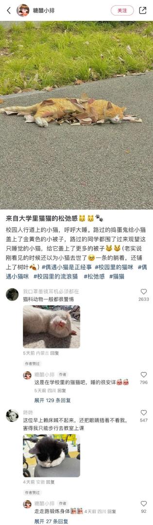 Word文档图片