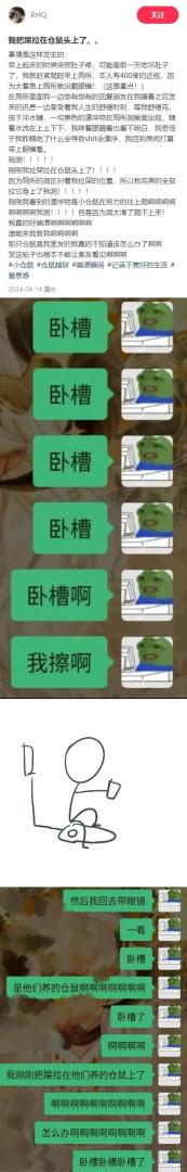 Word文档图片