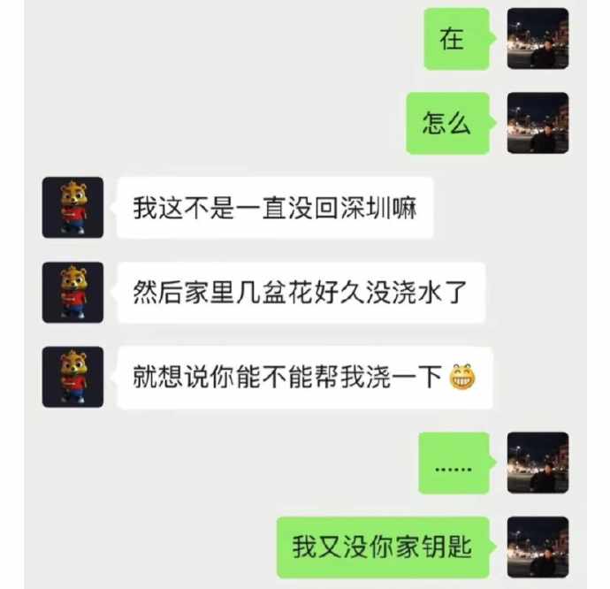 Word文档图片