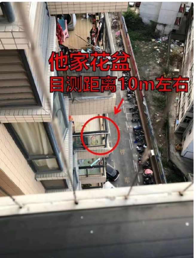 Word文档图片