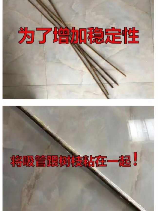 Word文档图片