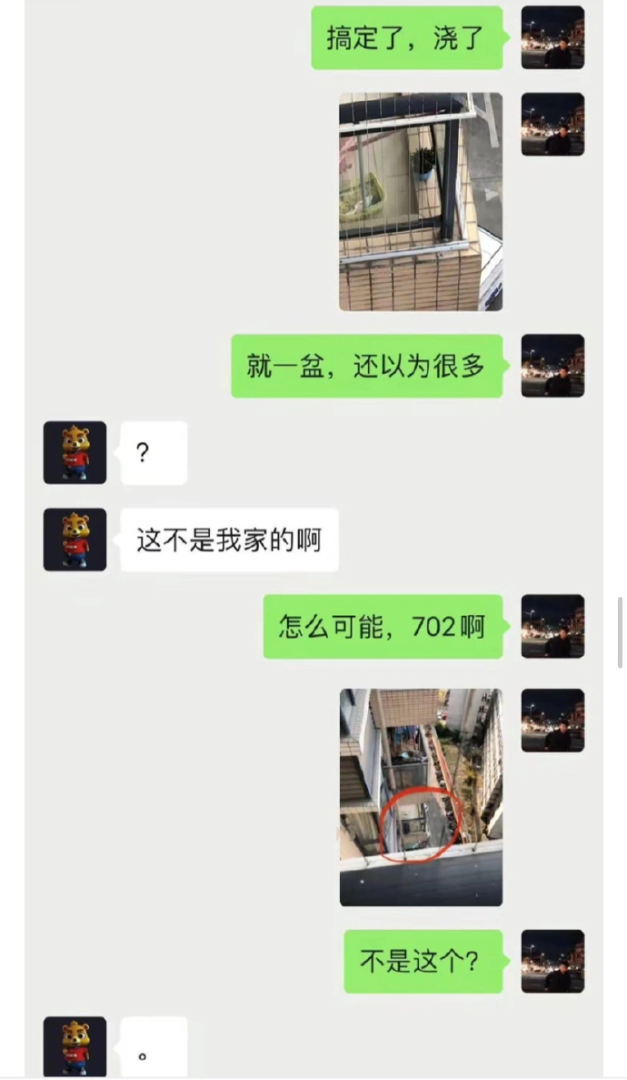 Word文档图片