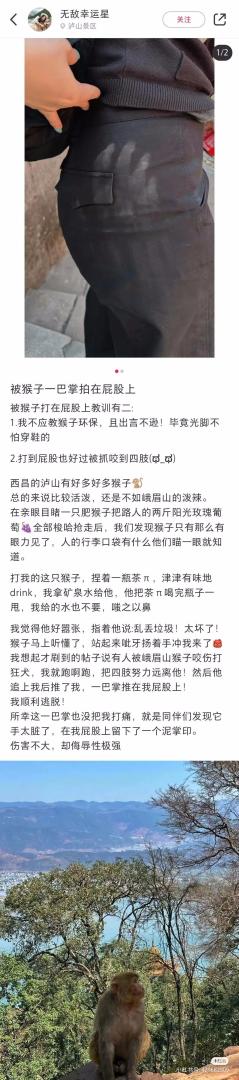 Word文档图片