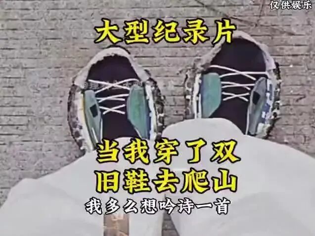 Word文档图片