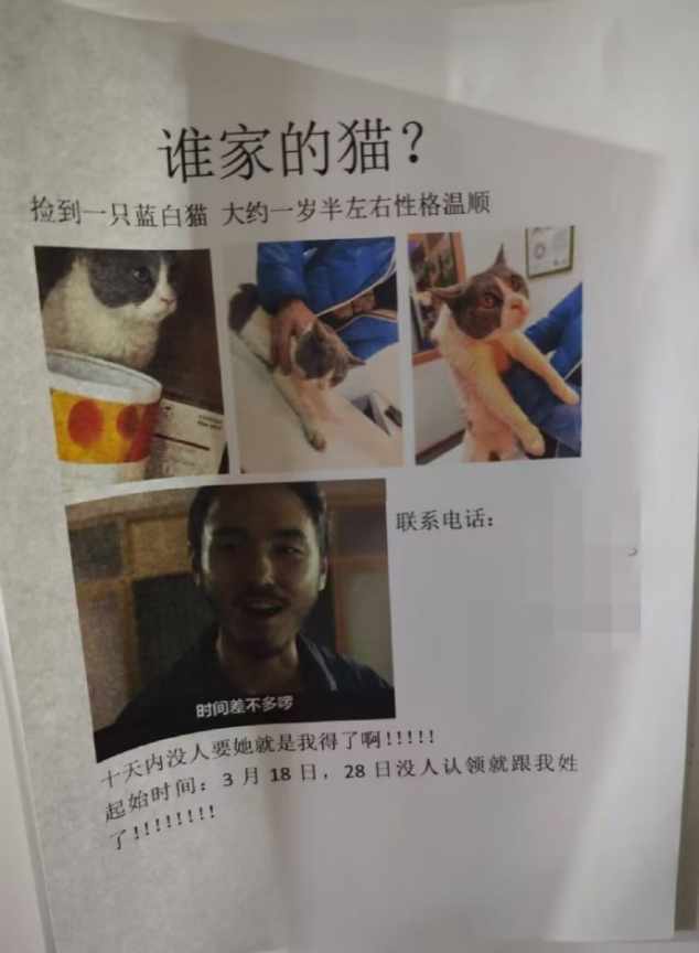 Word文档图片