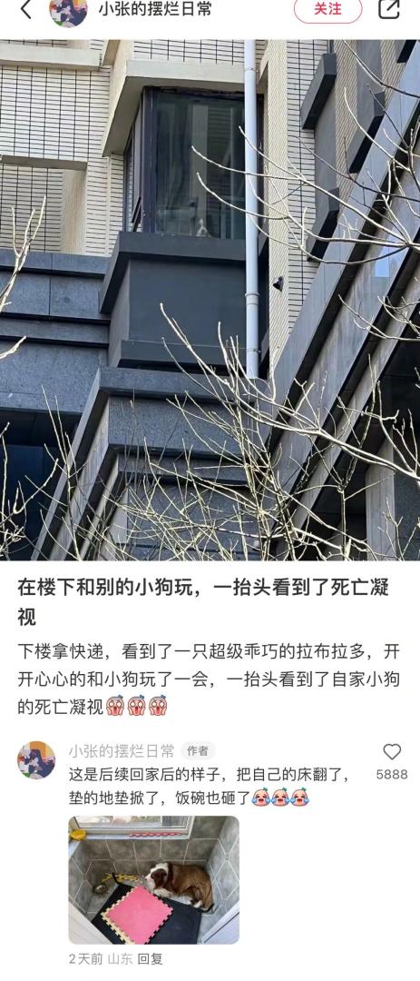 Word文档图片