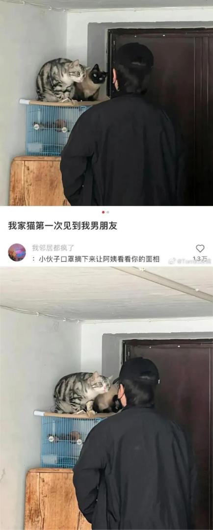 Word文档图片