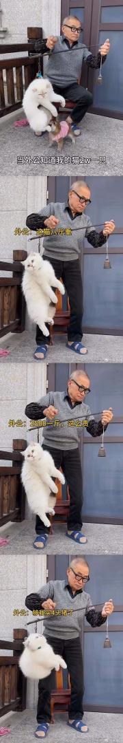 Word文档图片