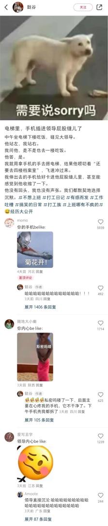 Word文档图片