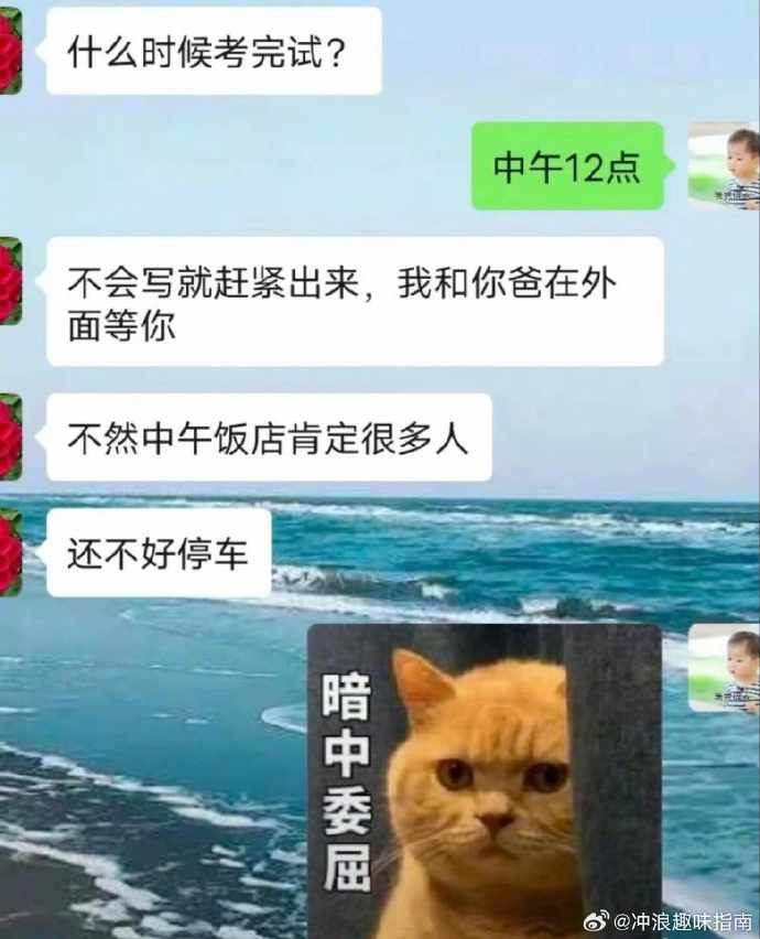 Word文档图片