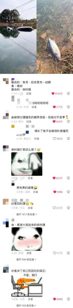 Word文档图片