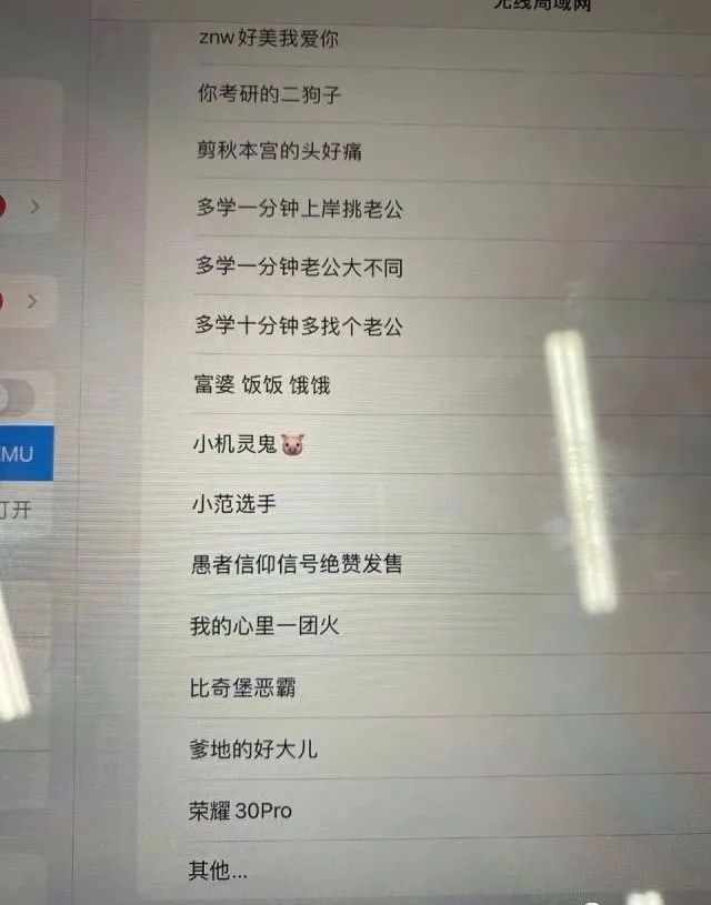 Word文档图片